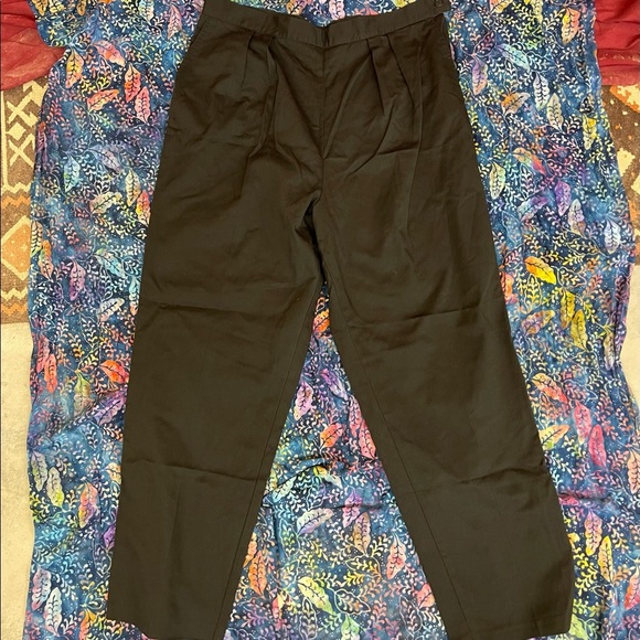 Lasting Comfort Pants - Lasting Comfort Secret Slimmer pleated front slacks size 16